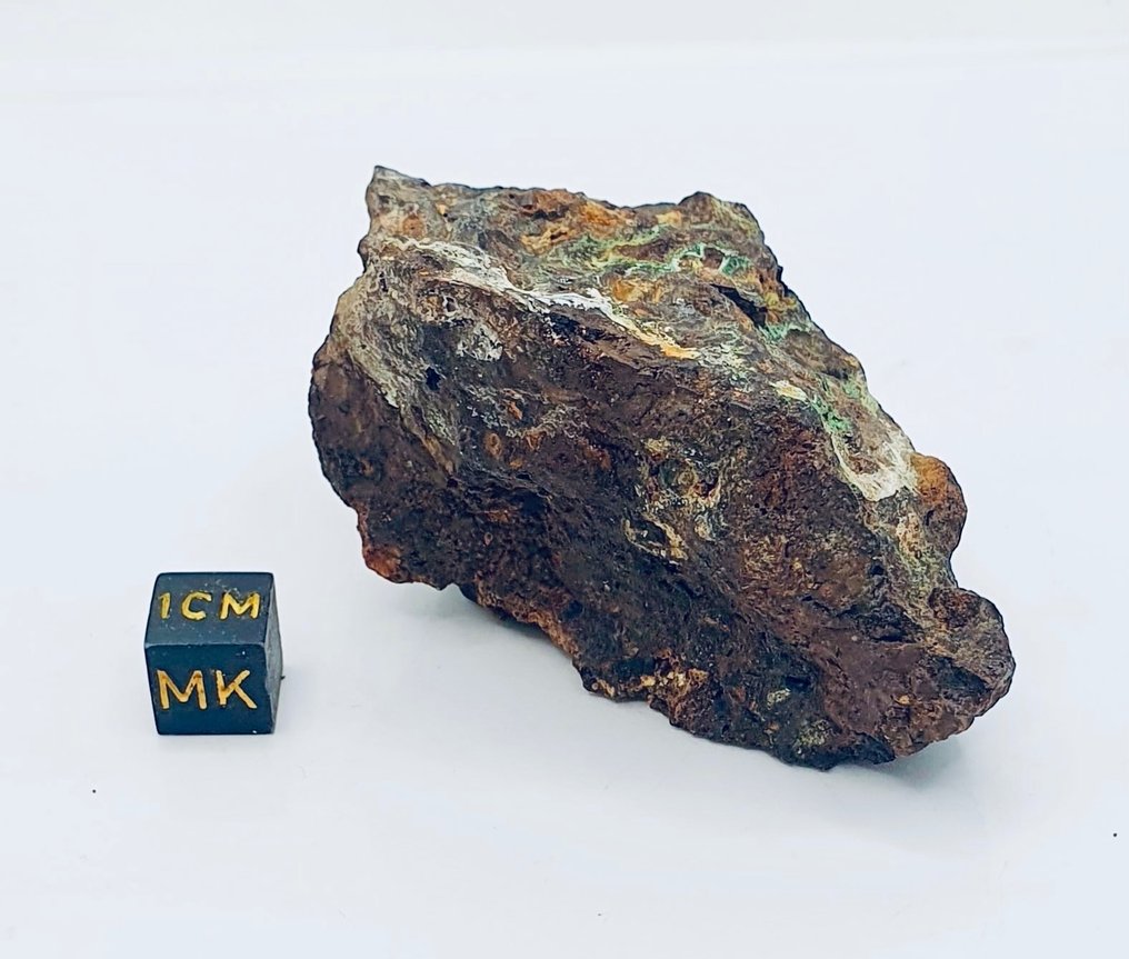 Sericho meteorite Pallasitic - Height: 70 mm - Width: 40 mm - 150 g - (1)