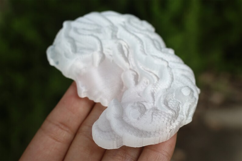 3" Carved Natural Selenite Medusa Reiki Crystal Skull Crystal gift Home Decor 1x