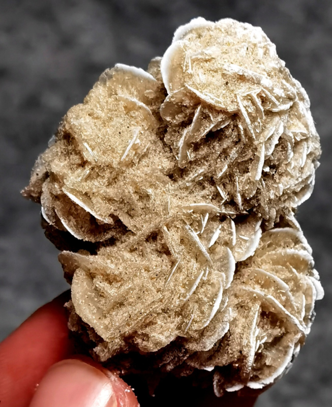 35g Gypsum Selenite Rose Desert Rose Sand Rose Namib Desert Namibia