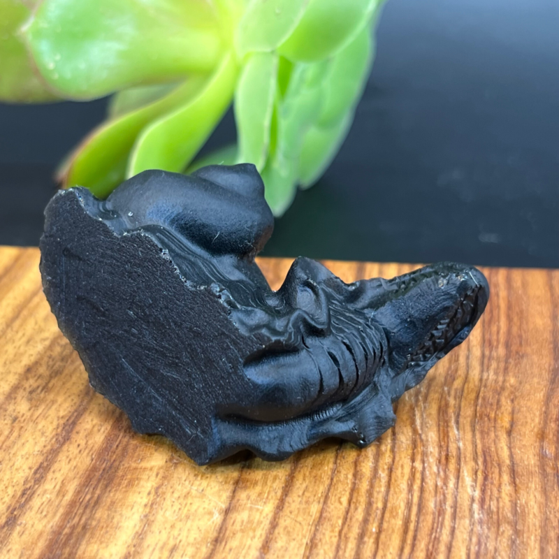 57g Natural crystal Obsidian Snail Grimace Animal carving reiki healing Gem Gift