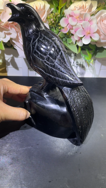 3.2LB 7" Natural Black Obsidian Crow Raven Skull Quartz Crystal Bird Carving
