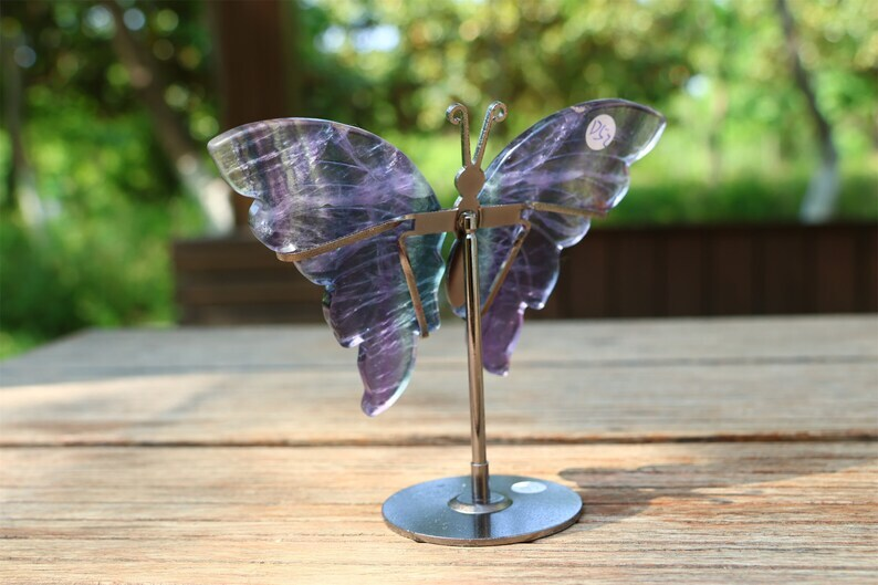 5.2'' A pair Natural Fluorite Butterfly Wing Reiki Crystal Skull Decor + Stand