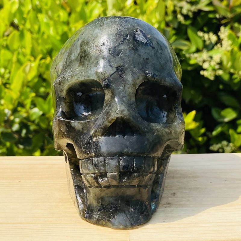 1312g Natural Beantiful Fluorite Quartz Skull Hand Carved Crystal Healing Skull