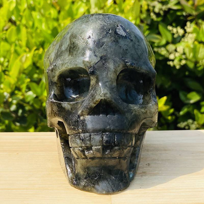 1312g Natural Beantiful Fluorite Quartz Skull Hand Carved Crystal Healing Skull