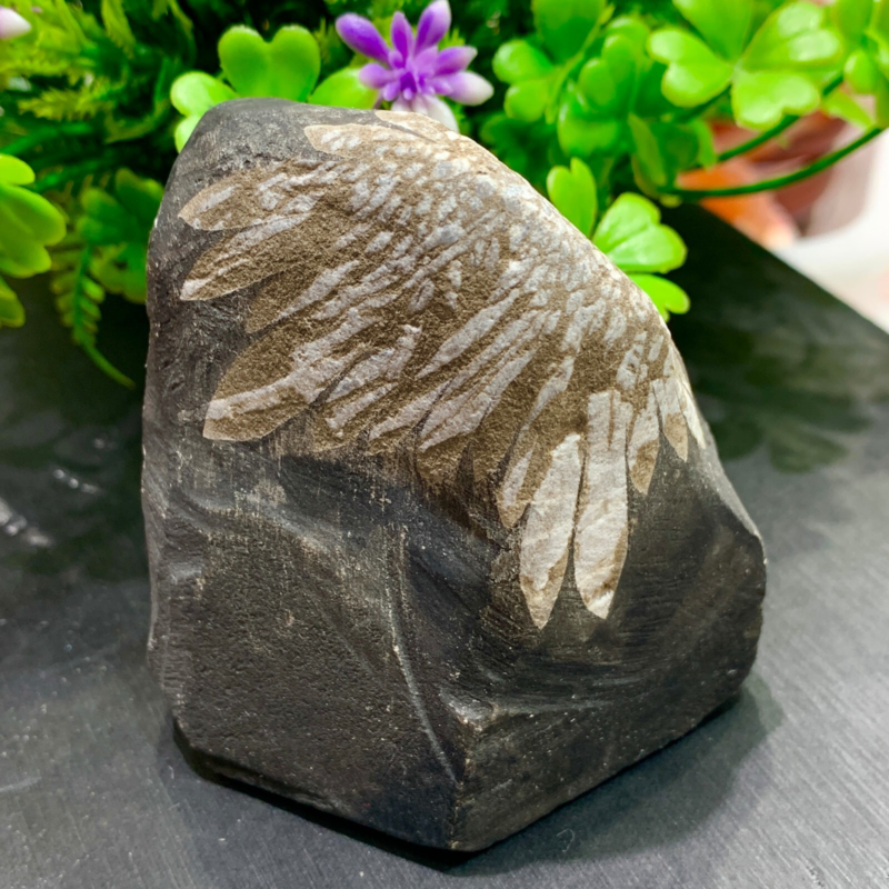 240g Natural Gems Chrysanthemum Crystal Palm Stone Materials Energy Specimen