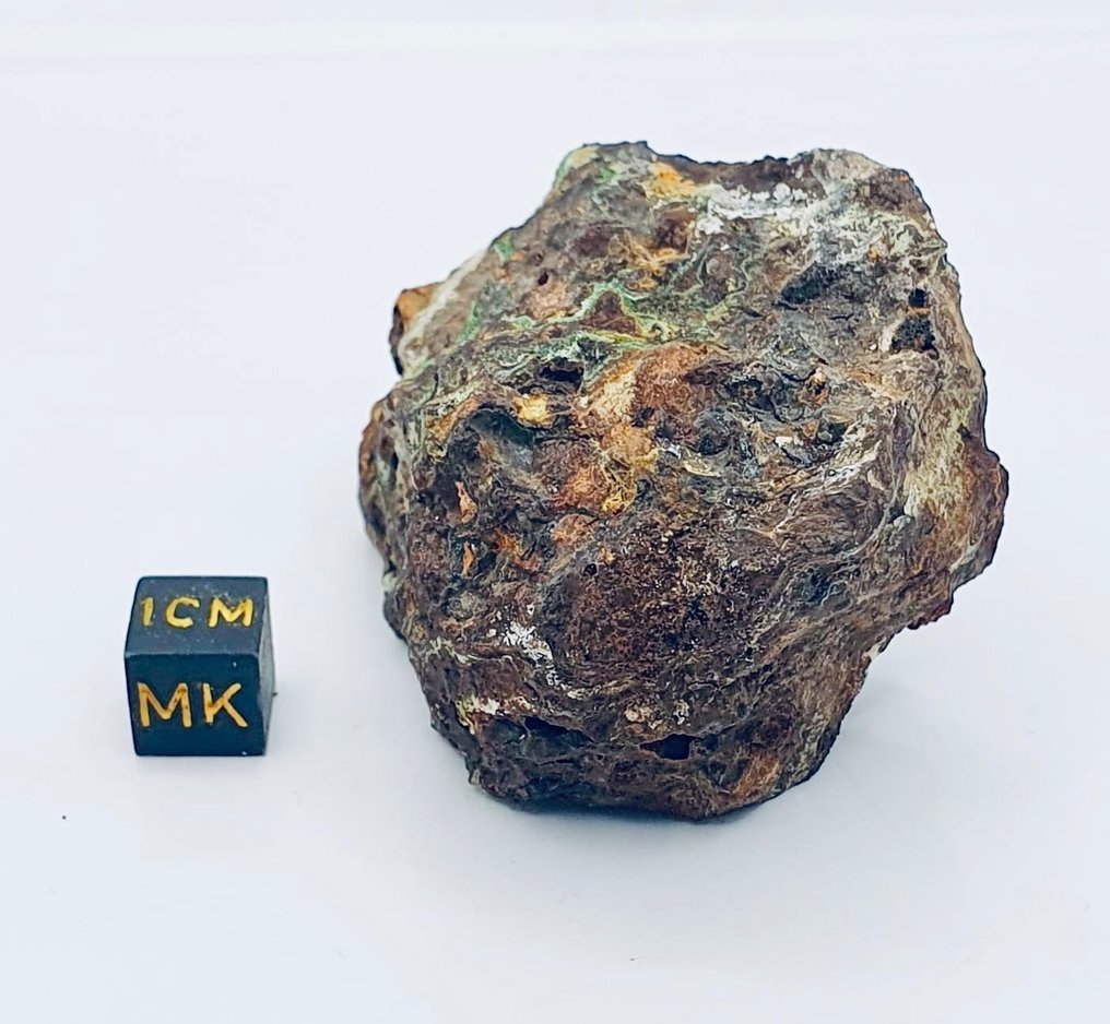 Sericho meteorite Pallasitic - Height: 70 mm - Width: 40 mm - 150 g - (1)