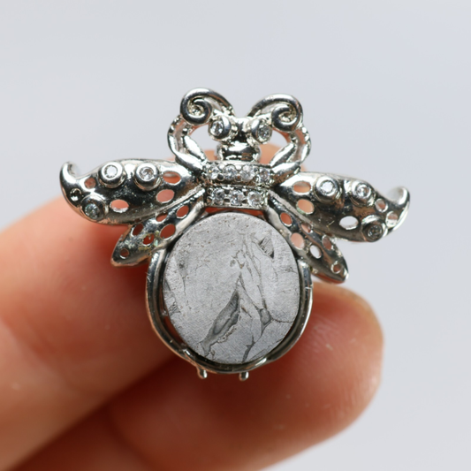 Muonionalusta meteorite Necklace pendant,Butterfly Pendant R1416