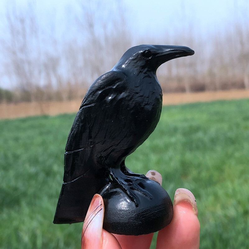Natural obsidian crystal hand carved Raven skull Quartz reiki Decoration 1pc