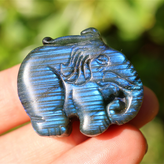 1.1" Carved Natural Labradorite elephant Reiki crystal skull Decor gift 1pc