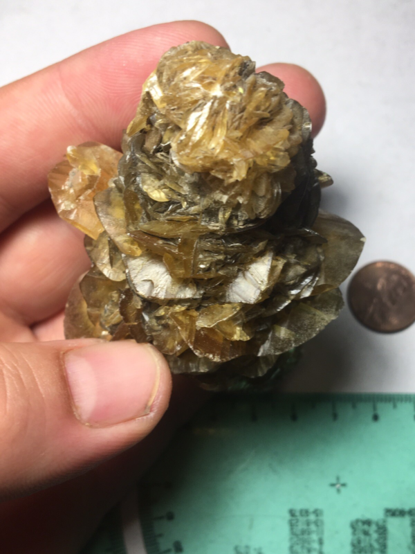 Large Winnipeg Gypsum Selenite Crystal Cluster Rose Canada Natural