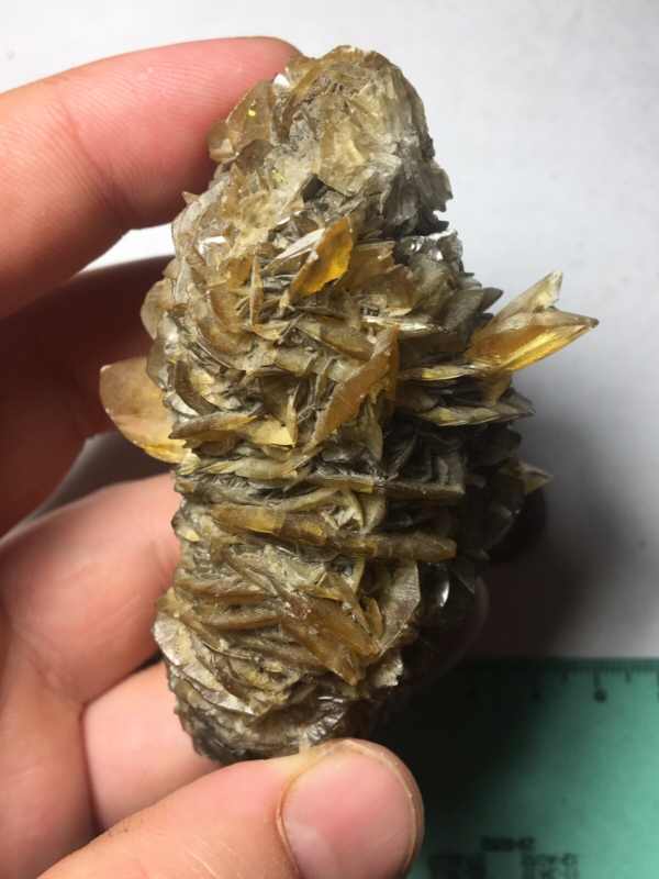 Large Winnipeg Gypsum Selenite Crystal Cluster Rose Canada Natural