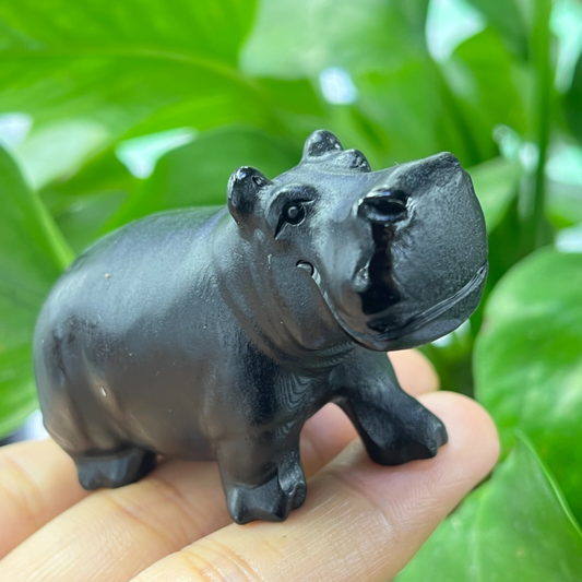 1pc Natural obsidian hippo carved Quartz Crystal animal Skull Reiki random 2.2"