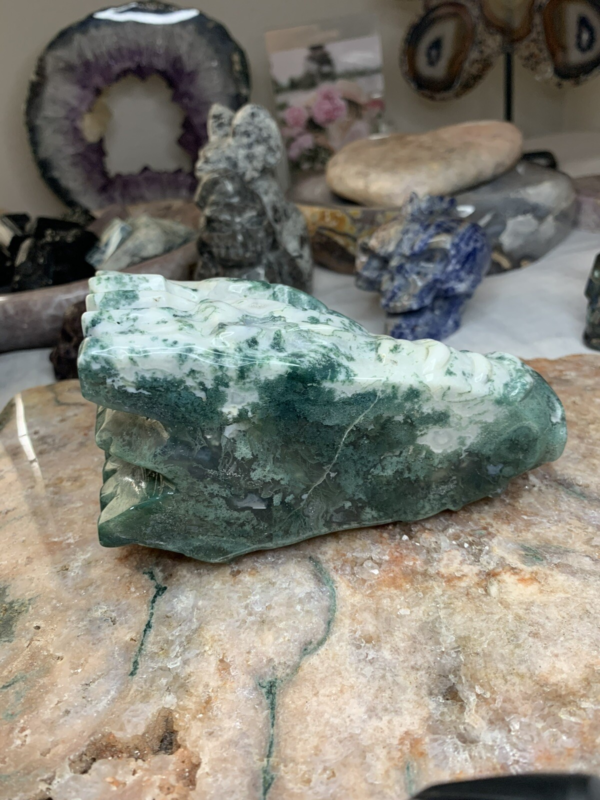 LARGE 5" - 5 1/2” 887g Green & White Moss Agate Dragon Head Crystal Skull!