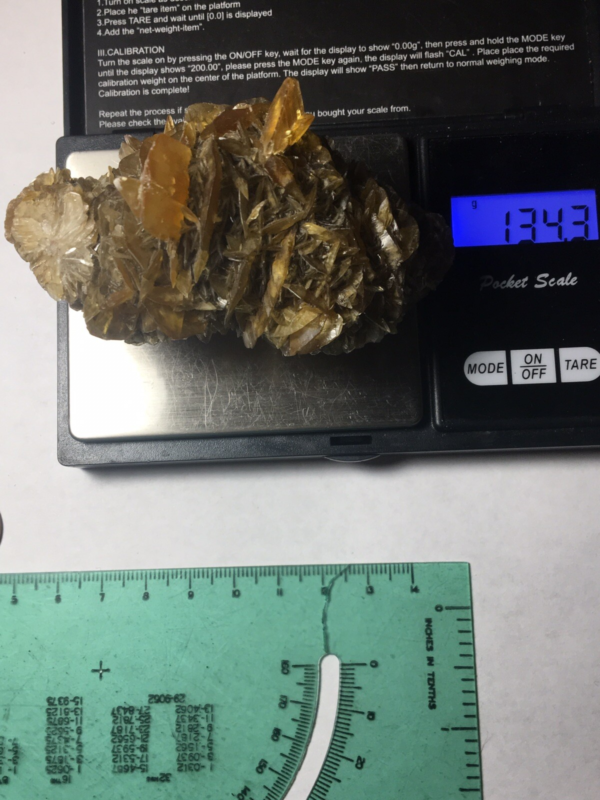 Large Winnipeg Gypsum Selenite Crystal Cluster Rose Canada Natural