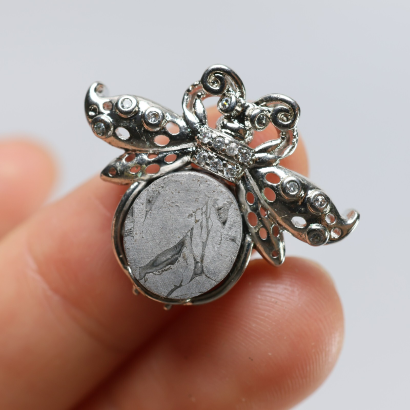 Muonionalusta meteorite Necklace pendant,Butterfly Pendant R1416