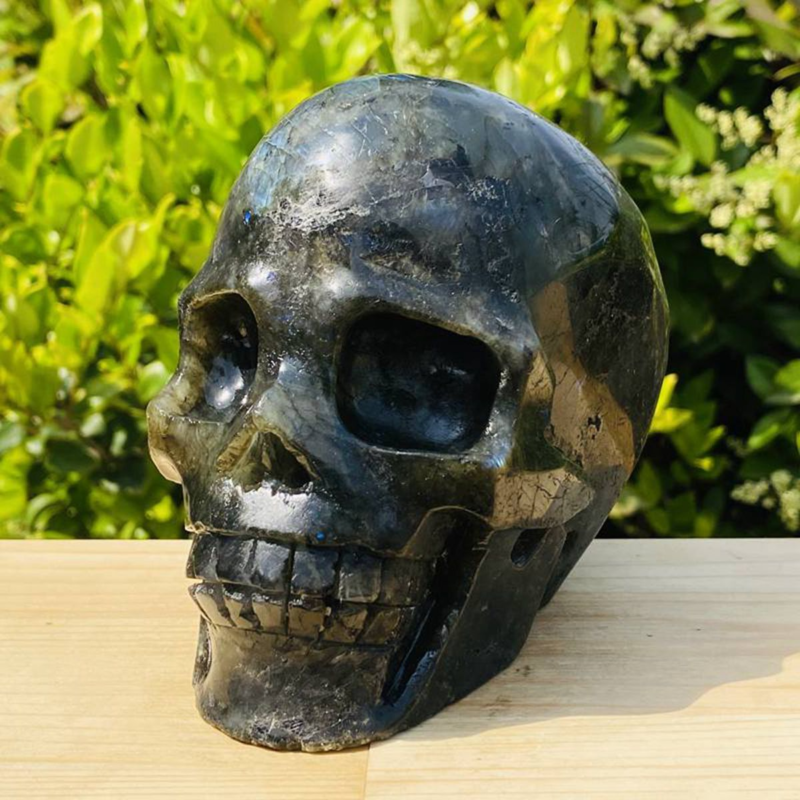 1531g Natural Beantiful Fluorite Quartz Skull Hand Carved Crystal Healing Skull