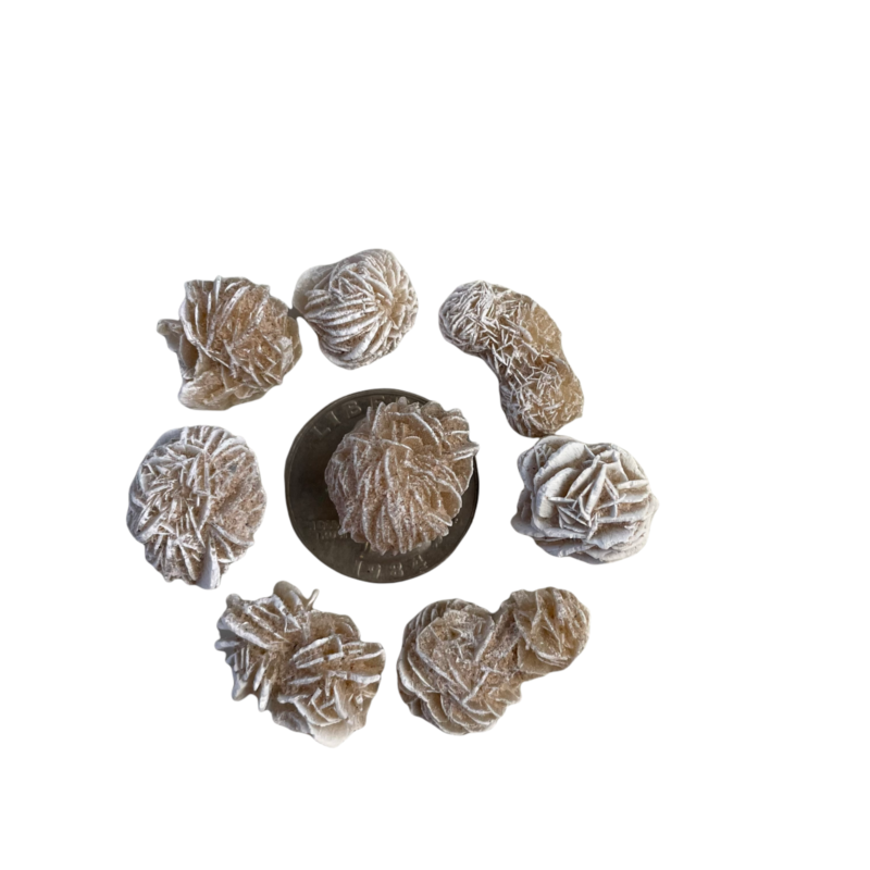 25g Mini Desert Rose Sand Selenite Gypsum Gemstone Crystal Rock Baryte Specimens