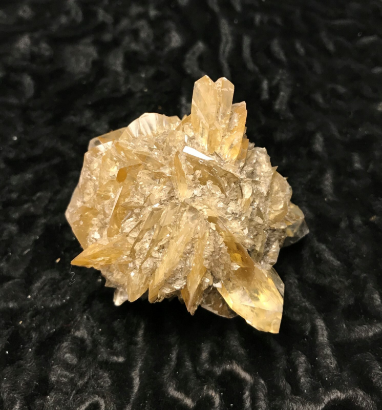 Gypsum var. Selenite 1F196 Canada Crystal Mineral Specimen