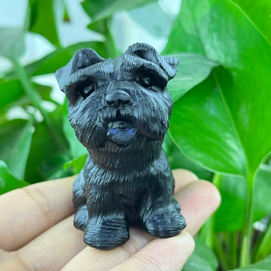 1pc Natural obsidian Schnauzer dog hand carved quartz crystal animal skull 2"