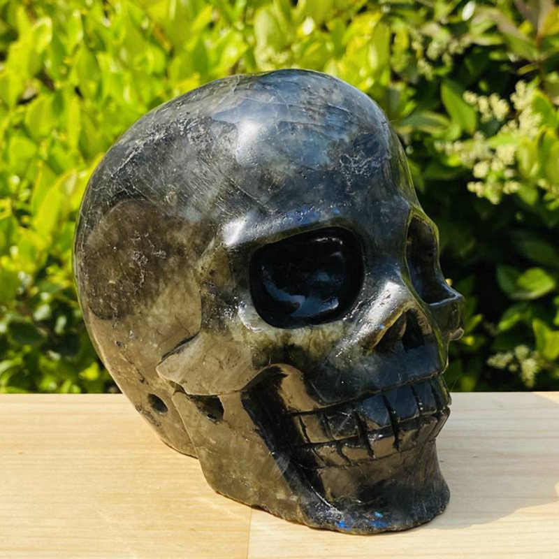 1531g Natural Beantiful Fluorite Quartz Skull Hand Carved Crystal Healing Skull