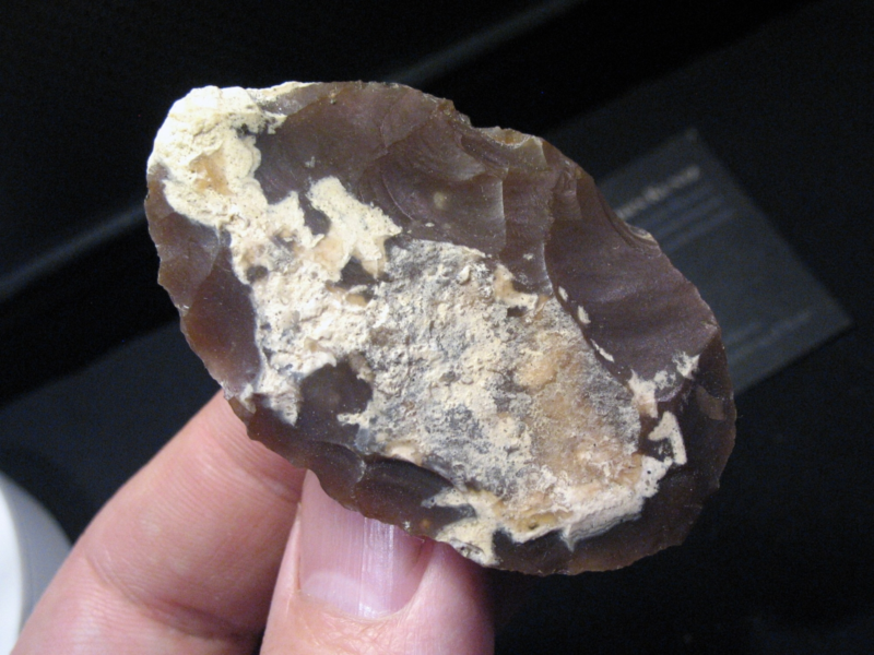Prehistoric Tool (Sahara) - Found in the Desert during a Meteorite Hunt