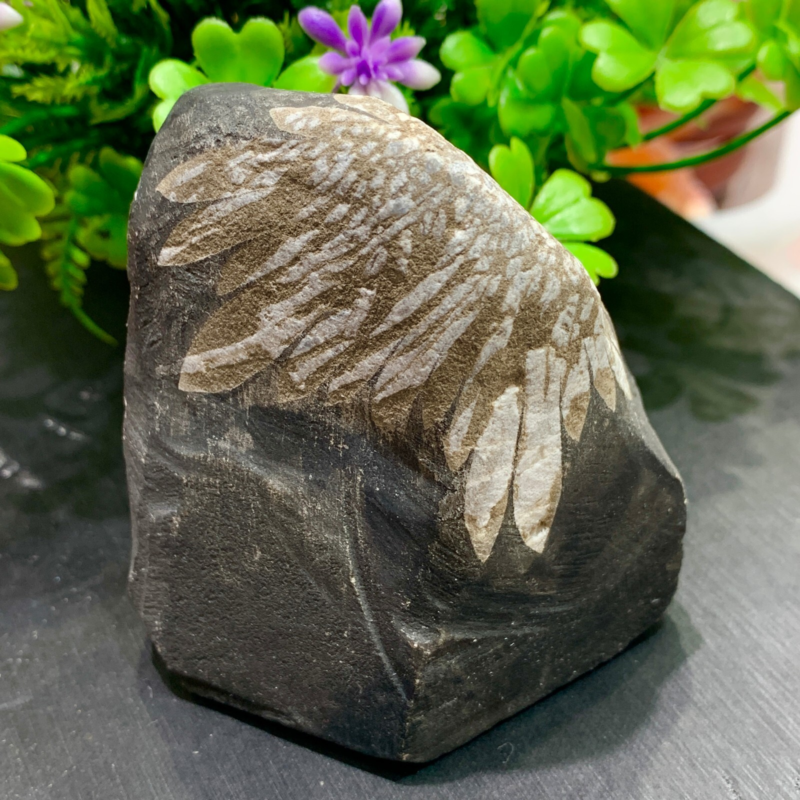 240g Natural Gems Chrysanthemum Crystal Palm Stone Materials Energy Specimen