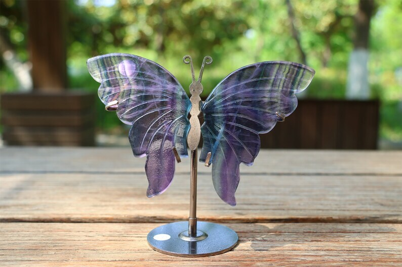 5.2'' A pair Natural Fluorite Butterfly Wing Reiki Crystal Skull Decor + Stand