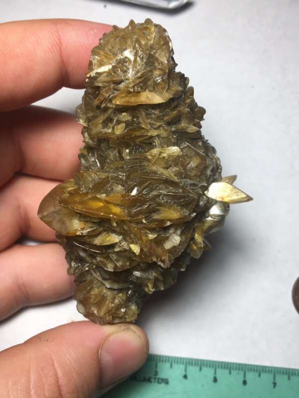 Large Winnipeg Gypsum Selenite Crystal Cluster Rose Canada Natural