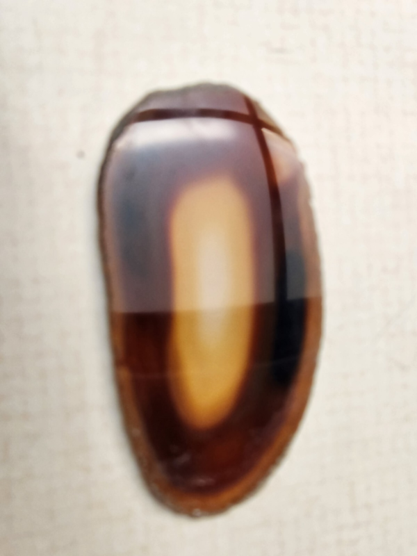 Lot 5: Agate Slices, Small Fossil Nodule, Orthoceras Fossil, White gypsum Rocks