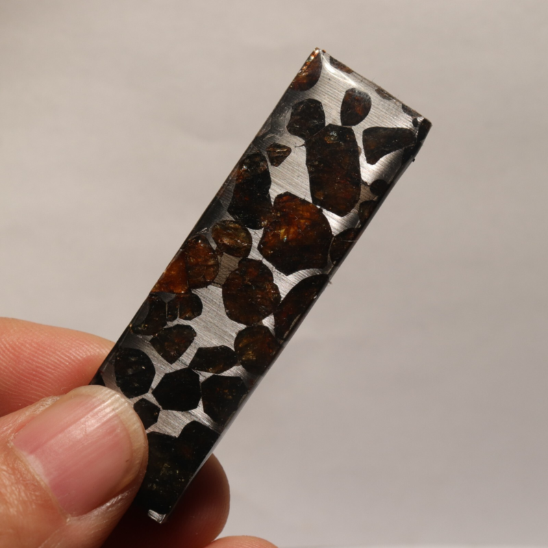 7g Rare slices of Kenyan Pallasite olive meteorite  A59