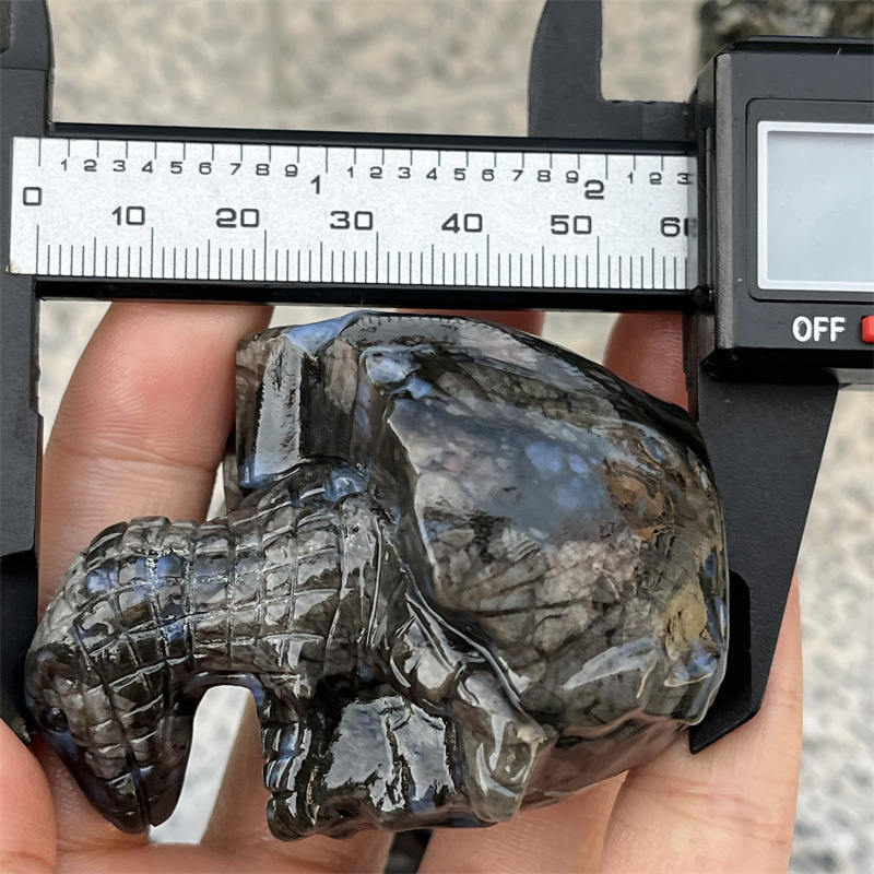 Natural amphibole dinosaur egg carved Quartz Crystal skull Reiki Healing