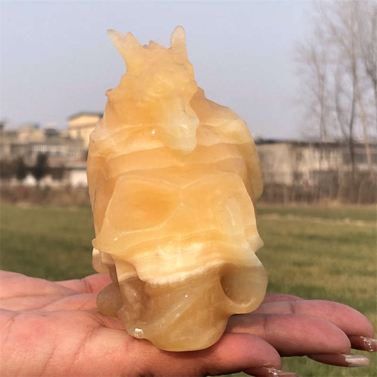 600g Natural carved geodes stone dragon Skull Reiki crystal skull decor crystal