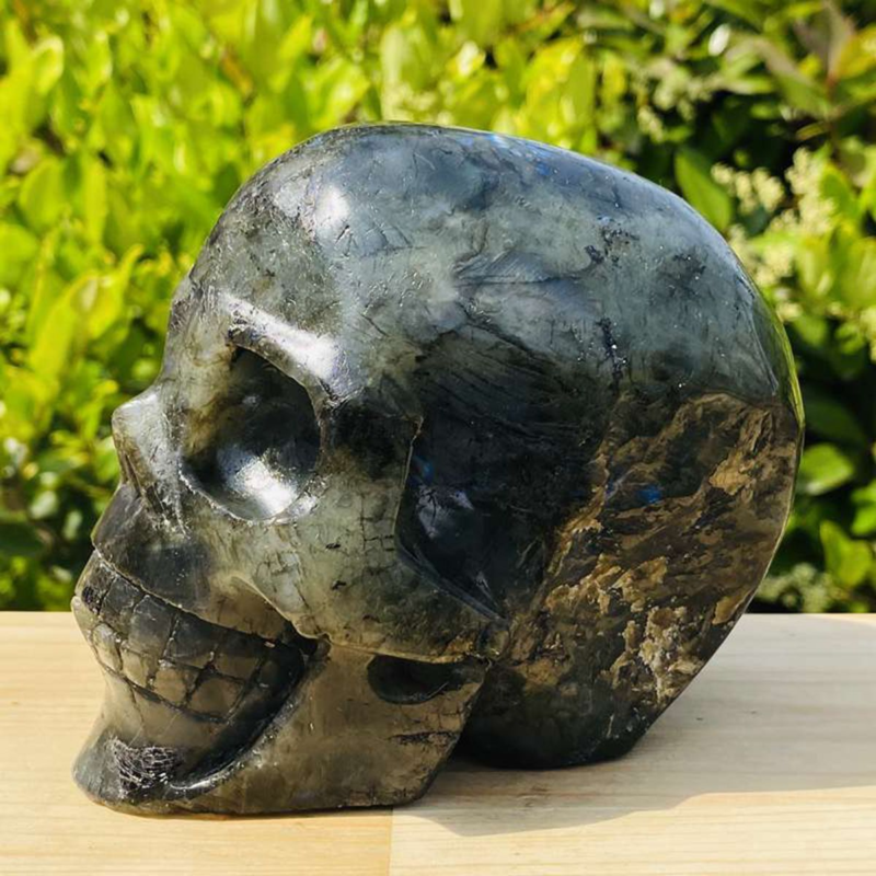 1312g Natural Beantiful Fluorite Quartz Skull Hand Carved Crystal Healing Skull
