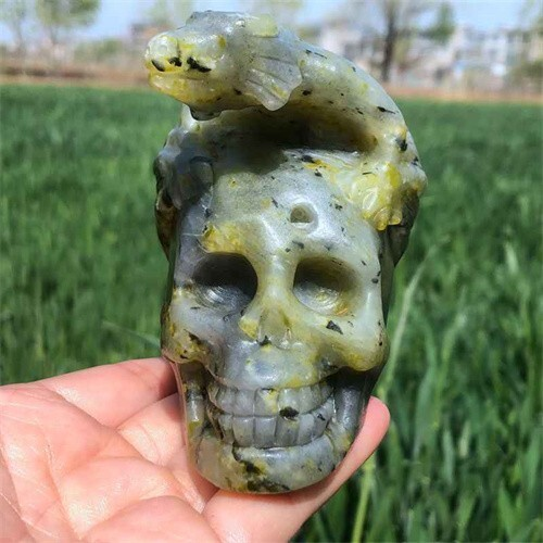 500g Natural carved Unknown Stone dragon Skull reiki quartz crystal skull polish
