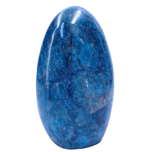 Large First Quality Blue Apatite Freeform
