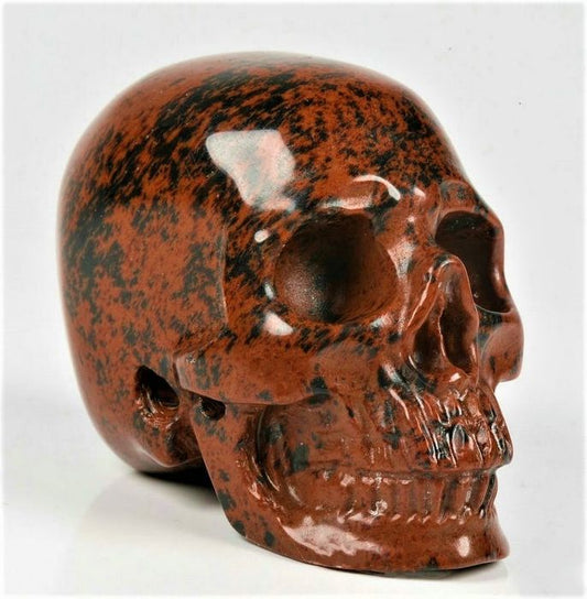 Beautiful rosewood Obsidian carved Skull