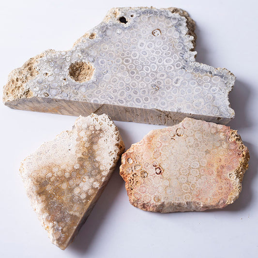 Rebanada de piedra de crisantemo de cuarzo, cristal de Jade, Coral áspero Natural, venta al por mayor, para curación