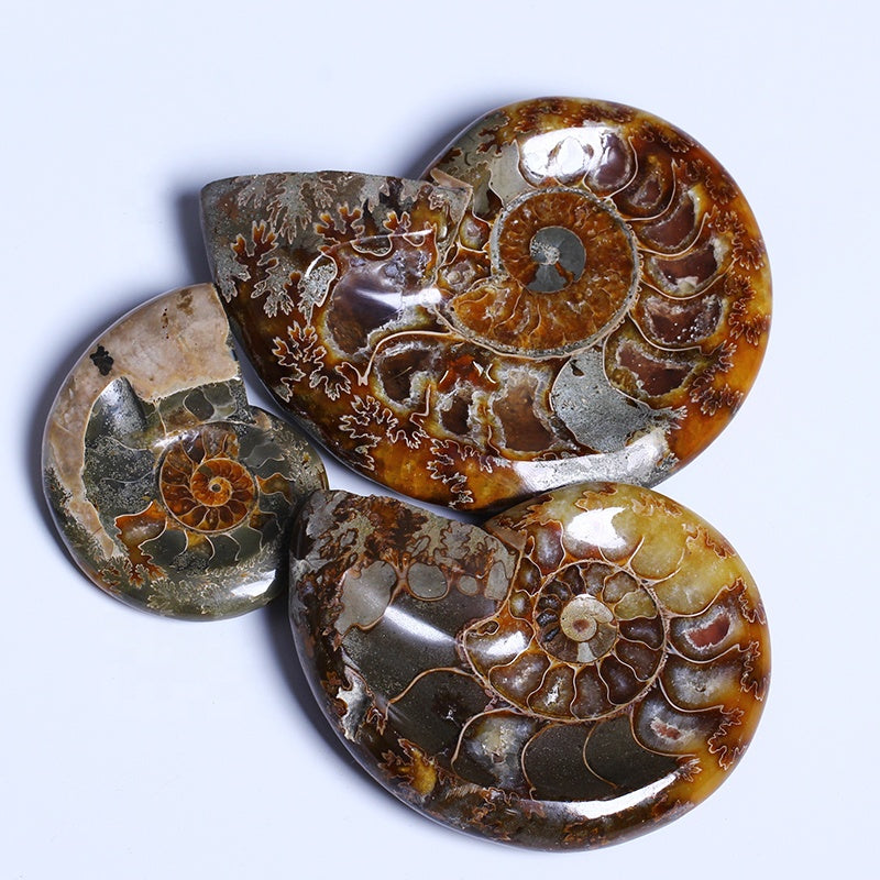 Natural High Quality Hand Carved Polished Snail Conch Cossil Bowl Crystal Quartz Ashtray For Decoration