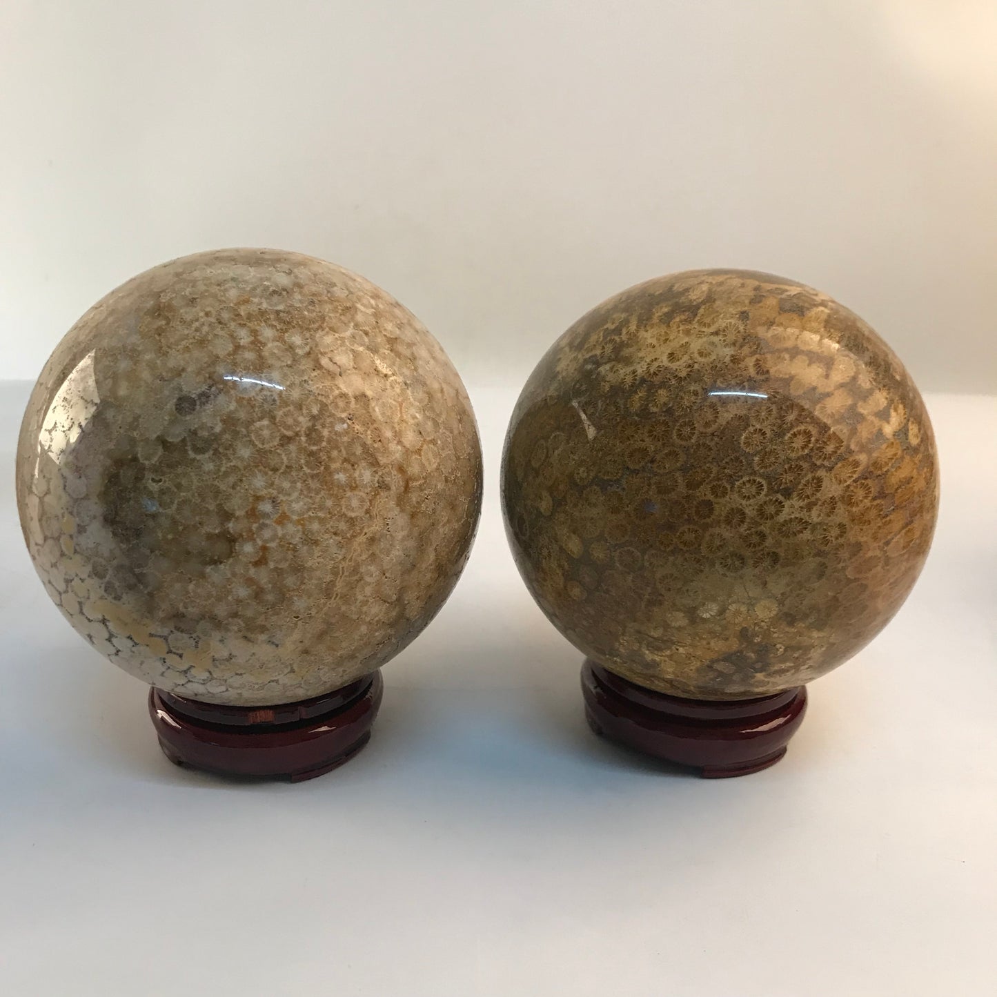 wholesale Esfera de piedra de cristal natural Bolas de cristal de jade de coral pulido para decoración