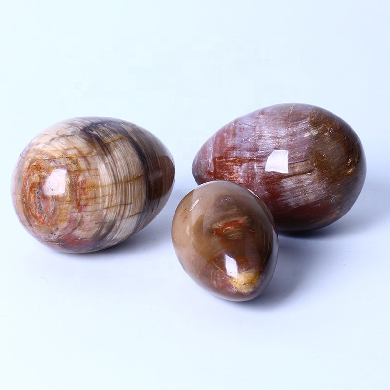 New arrival Healing Crystal Reiki Gemstone Collectible Decorative Petrified Wood Fossil Eggs For Gifts
