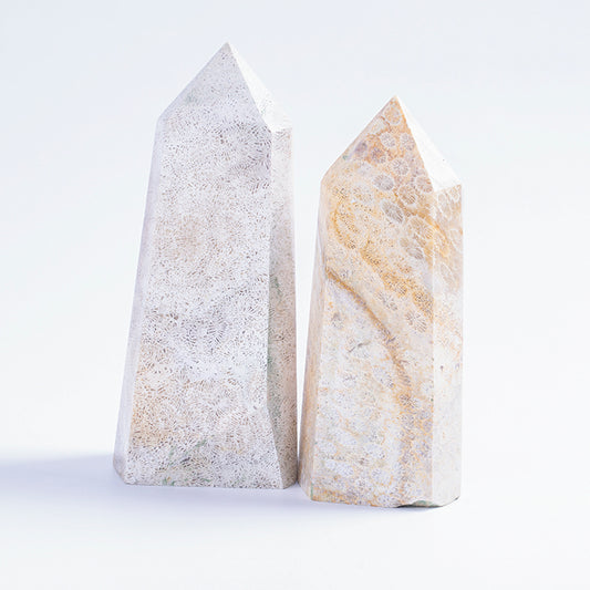 Wholesale Natural Crystal Point Coral Fossil Crystal Obelisk Stone Point Tower for Gift