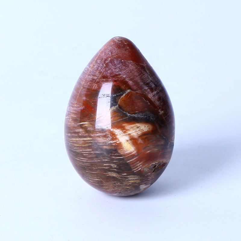 New arrival Healing Crystal Reiki Gemstone Collectible Decorative Petrified Wood Fossil Eggs For Gifts