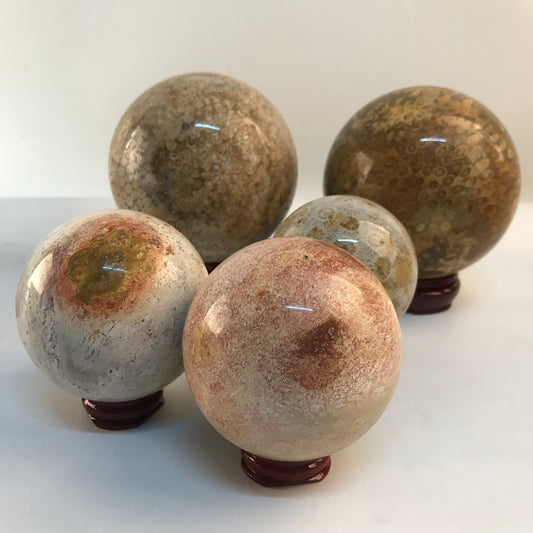 wholesale Esfera de piedra de cristal natural Bolas de cristal de jade de coral pulido para decoración
