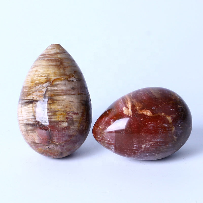 New arrival Healing Crystal Reiki Gemstone Collectible Decorative Petrified Wood Fossil Eggs For Gifts