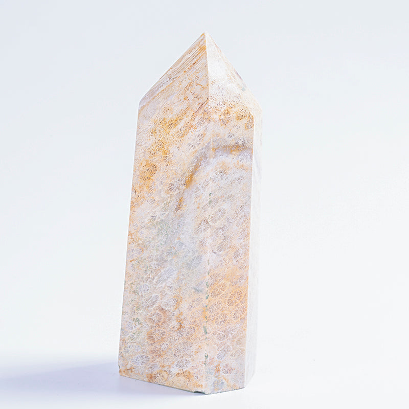 Wholesale Natural Crystal Point Coral Fossil Crystal Obelisk Stone Point Tower for Gift