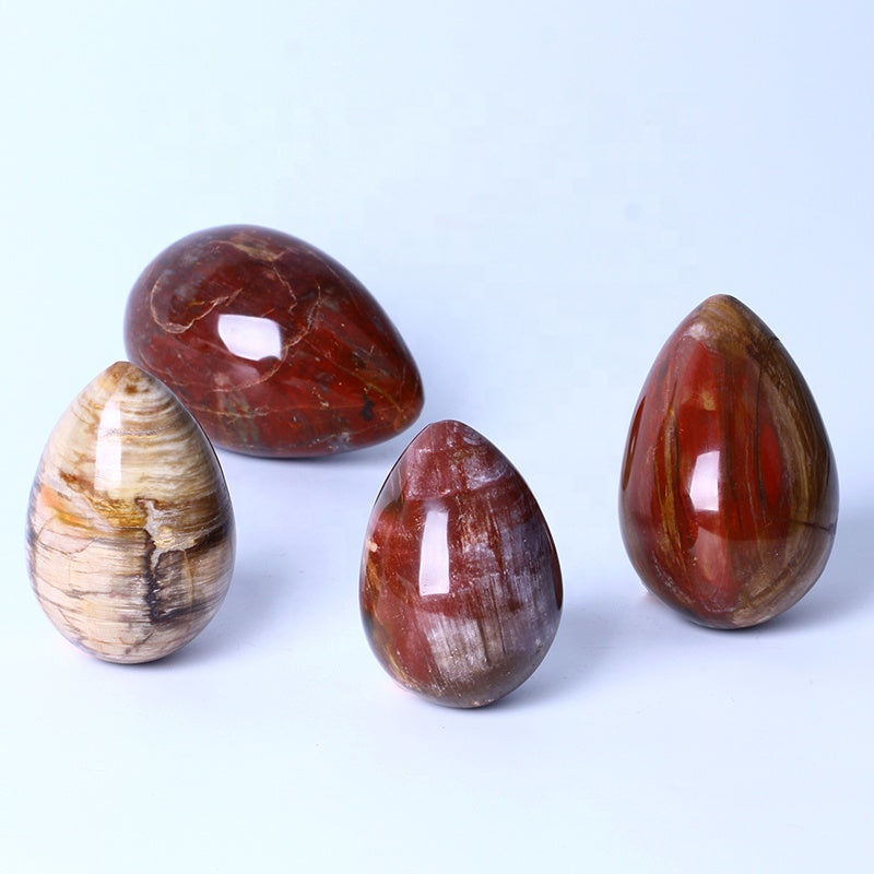 New arrival Healing Crystal Reiki Gemstone Collectible Decorative Petrified Wood Fossil Eggs For Gifts