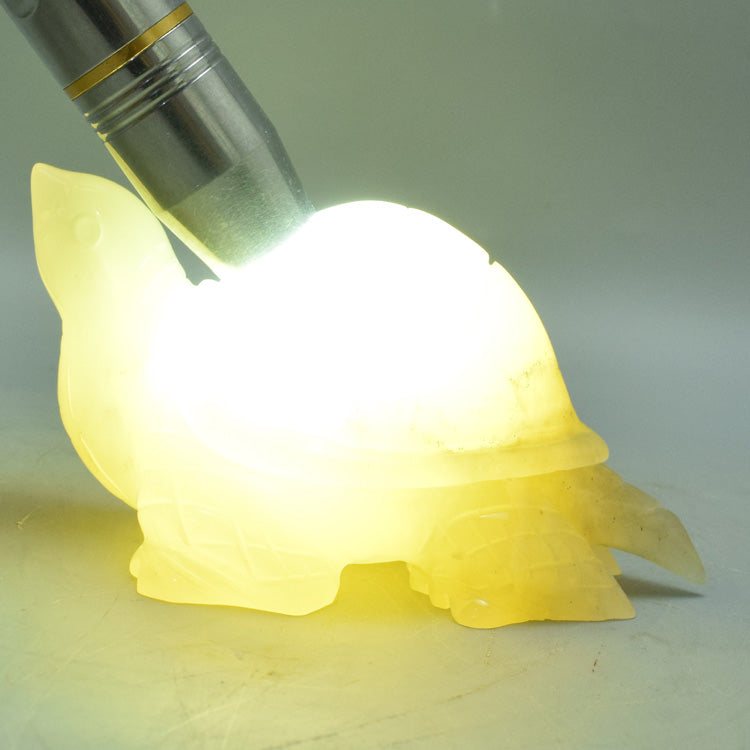 Oriental jade ornament natural jade longevity tortoise ornament Liaoning Xiuyan Jade healthy Feng Shui jade