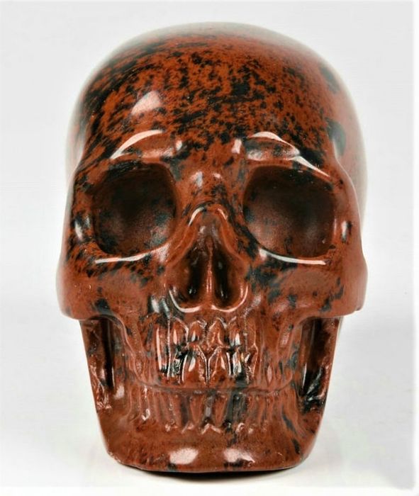 Beautiful rosewood Obsidian carved Skull