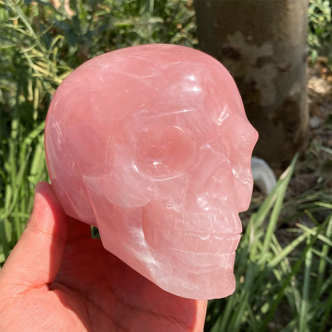 1PC 4"+ Natural Hand Rose Quartz Skull,Quartz Pink Crystal Skull Carved ,Home Decoration,Mineral Specimen,Crystal Reiki Healing Gift