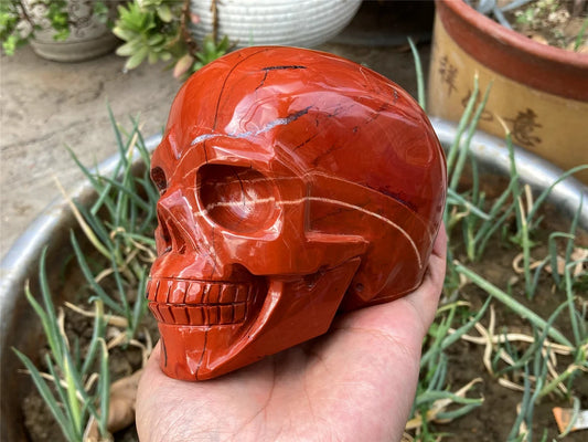 1PC 4"+ Natural Hand Red Jasper Skull,Quartz Red Jade Crystal Skull Carved ,Home Decoration,Mineral Specimen,Crystal Reiki Healing Gifts